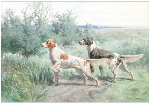 Click to view profile for C. Duncan Connelly