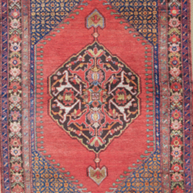 Click to view profile for Dana Kelly Oriental Rugs