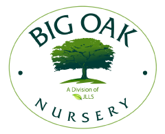 Big Oak Nursery